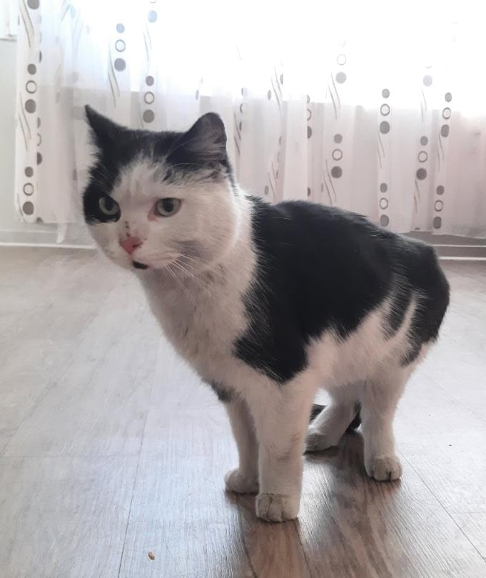 Fundkater Ahrweiler 9.3.22