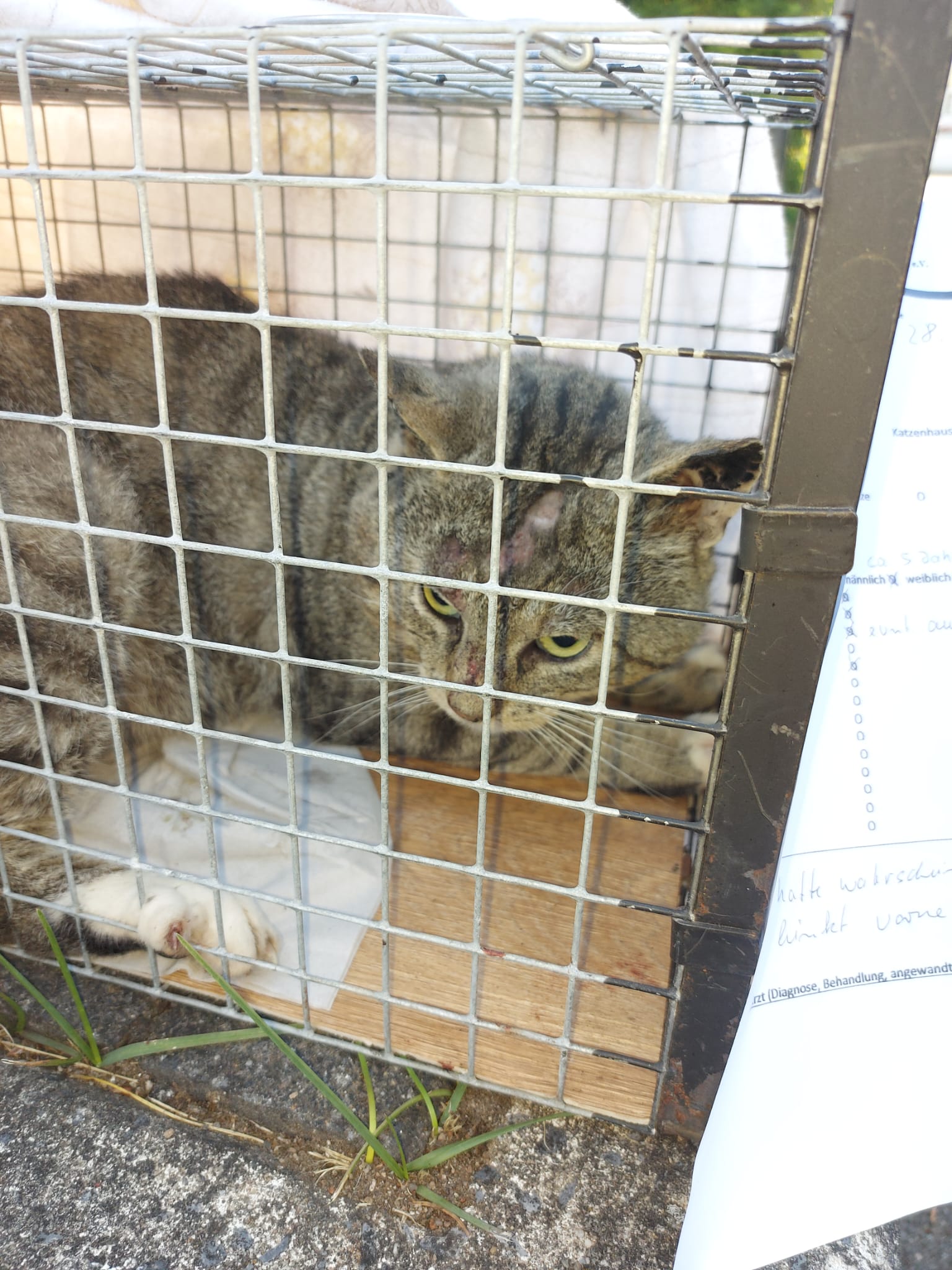 Fundkater Nürburg 28.6.22