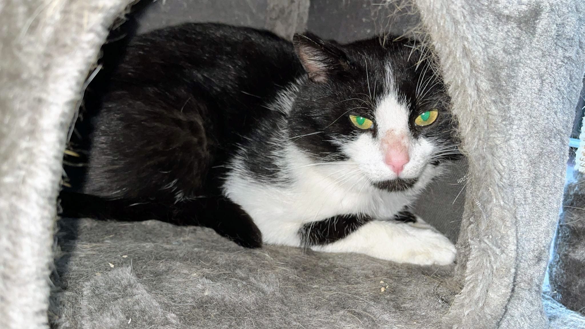 Fundkater Löhndorf