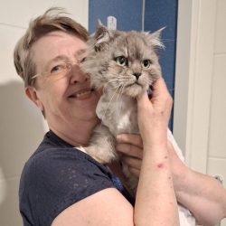 Inge_Katzenhausdienst u Streichler