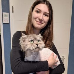 Julia L_Katzenhausdienst